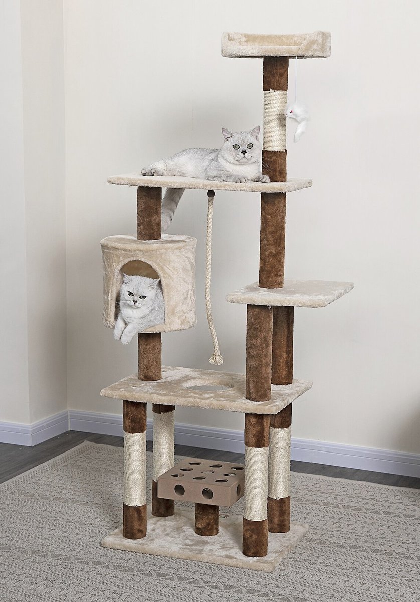 Go pet club iq store busy box cat tree