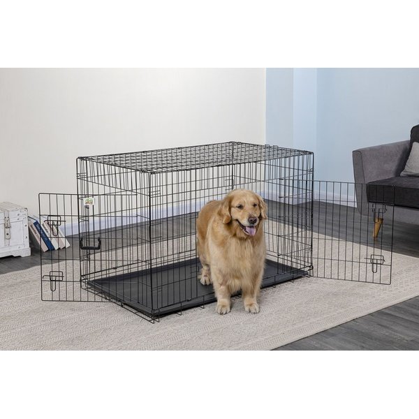 MIDWEST Ultima Pro Double Door Collapsible Wire Dog Crate, 49 inch ...