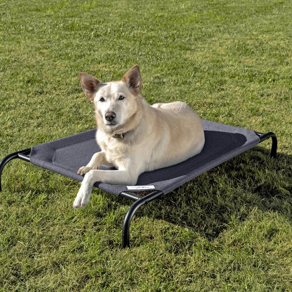 Coolaroo Steel-Framed Elevated Dog Bed, Navy Blue, Medium slide 1 of 9