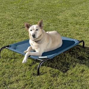 Coolaroo Steel-Framed Elevated Dog Bed, Turquoise, Medium