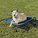Coolaroo Steel-Framed Elevated Dog Bed, Turquoise, Medium
