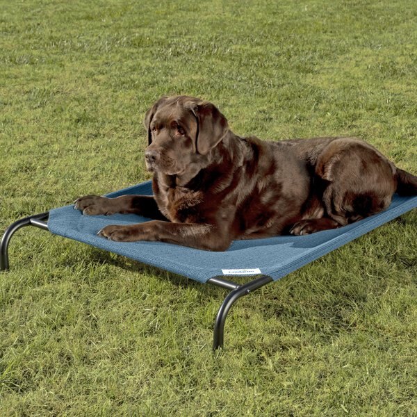 Coolaroo Steel-Framed Elevated Dog Bed, Turquoise, Large slide 1 of 9