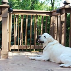 Cardinal Gates Outdoor Dog Gate, Brown slide 1 of 2