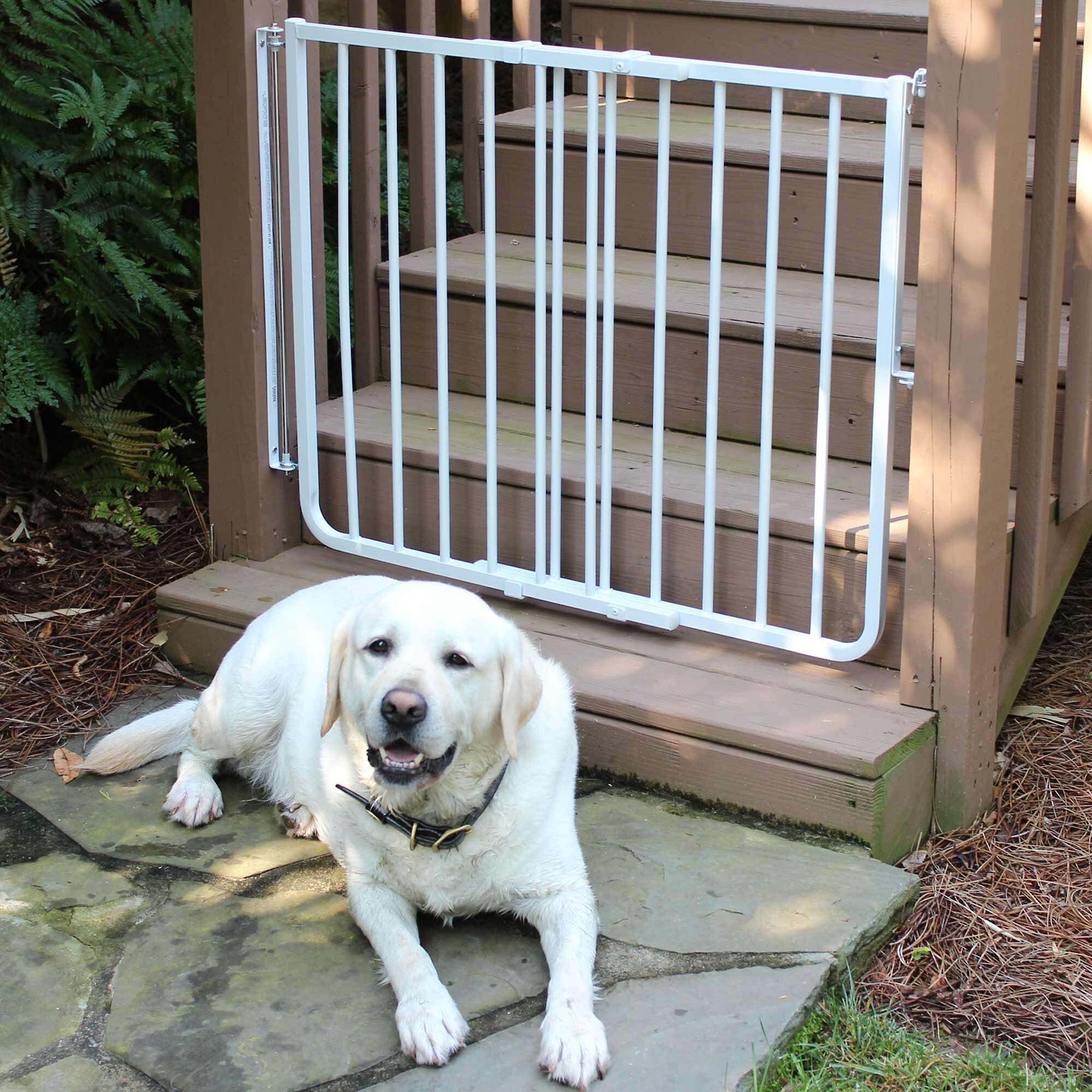 Outdoor dog gates and fences hotsell