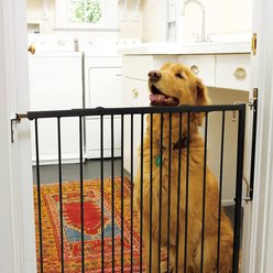Cardinal Gates Duragate Dog Gate, Black