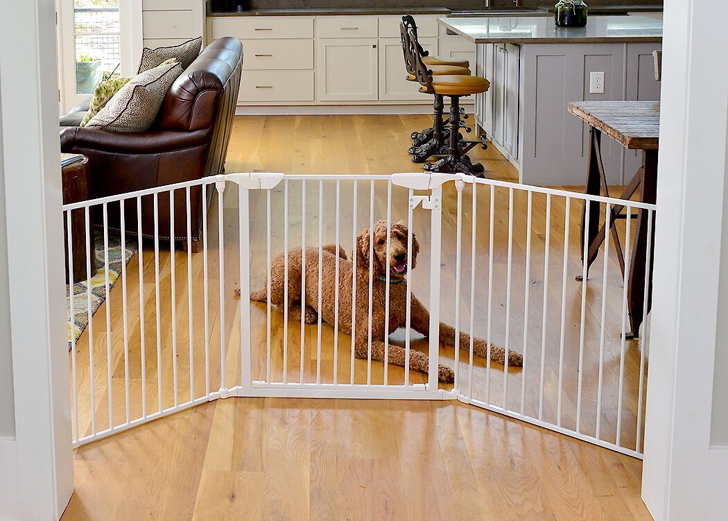 Dog gates hotsell for kitchen