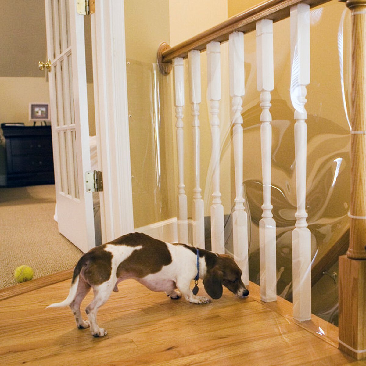 Chewy stair outlet barrier