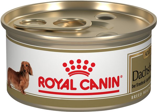 Royal Canin Breed Health Nutrition Dachshund Adult Loaf in Sauce Canned Dog Food, 3-oz, case of 24 slide 1 of 8