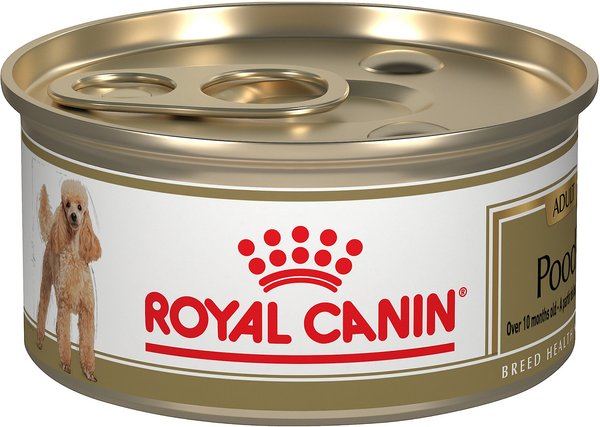 Royal Canin Breed Health Nutrition Poodle Adult Loaf in Sauce Canned Dog Food, 3-oz, case of 24 slide 1 of 8