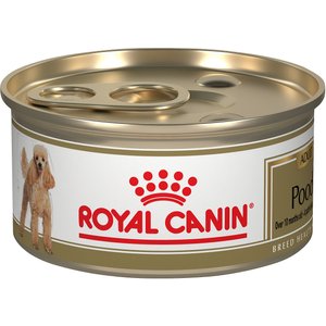 Royal Canin Breed Health Nutrition Poodle Adult Loaf in Sauce Canned Dog Food, 3-oz, case of 24