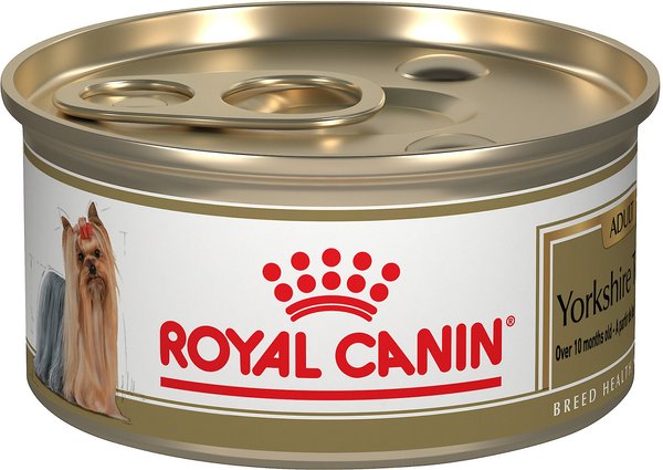 Royal Canin Breed Health Nutrition Yorkshire Terrier Adult Loaf in Sauce Canned Dog Food, 3-oz, case of 24 slide 1 of 8