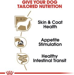 Royal Canin Breed Health Nutrition Yorkshire Terrier Adult Loaf in Sauce Canned Dog Food, 3-oz, case of 24 slide 2 of 7