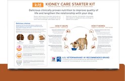 Hill's Prescription Diet k/d Kidney Care Variety Pack Wet & Dry Dog Food slide 2 of 7