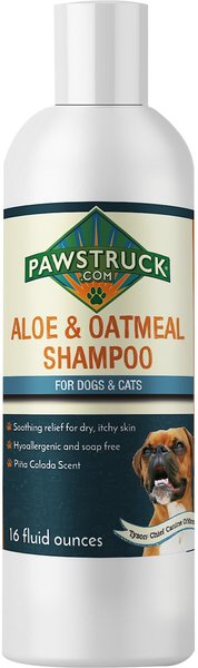 Pawstruck Aloe & Oatmeal Dog & Cat Shampoo, 16-oz bottle slide 1 of 3