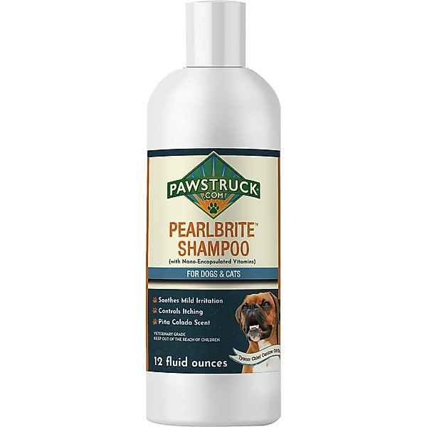 DAVIS Benzoyl Peroxide Dog & Cat Shampoo, 2 count - Chewy.com