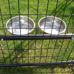 Lucky Dog Double Bowl Dog Kennel System slide 2 of 2