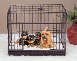 Lucky Dog Sliding Double Door Wire Dog Crate, 24 inch slide 1 of 9