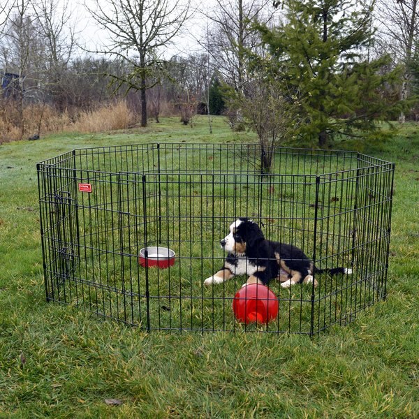 LUCKY DOG Wire Dog Exercise Pen with StepThru Door, Small