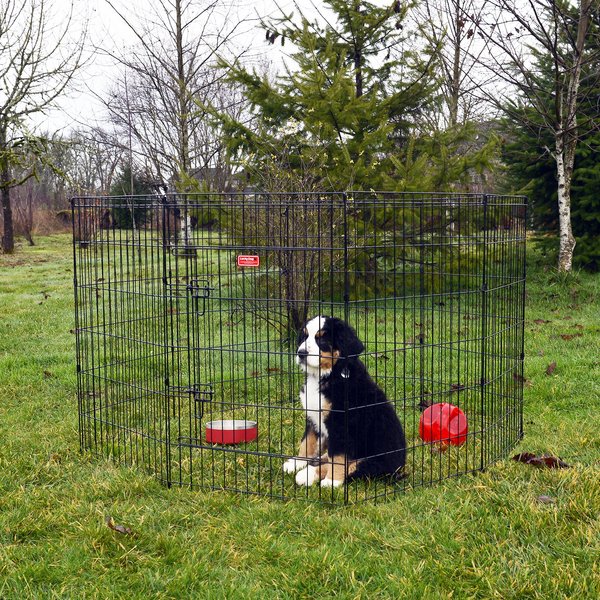 Lucky Dog Wire Dog Exercise Pen with Step-Thru Door, Medium slide 1 of 9
