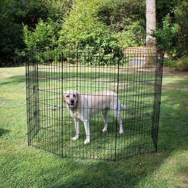 Lucky Dog Wire Dog Exercise Pen with Step-Thru Door, Large slide 1 of 9