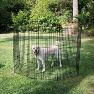Lucky Dog Wire Dog Exercise Pen with Step-Thru Door, Large