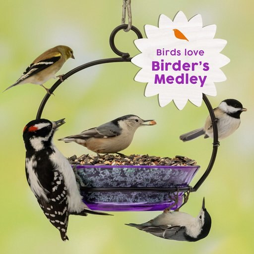 Harvest Seed & Supply Birder's Medley Corn Free Wild Bird Food, 10-lb bag