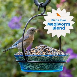 Harvest Seed & Supply Mealworm Corn Free Wild Bird Food, 10-lb bag