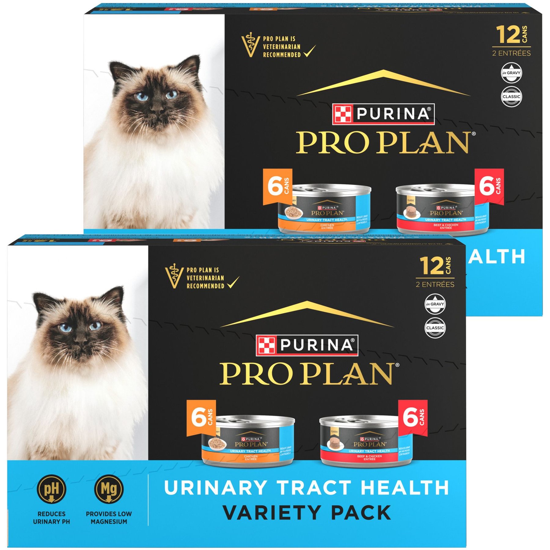 Purina pro plan focus wet best sale cat food