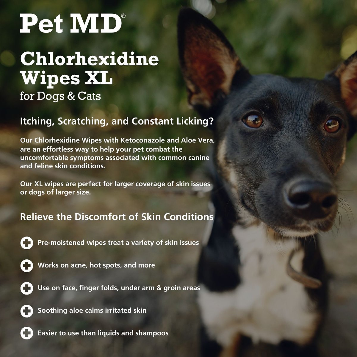 PET MD Chlorhexidine Antiseptic Dog & Cat Wipes, 70 Count - Chewy.com