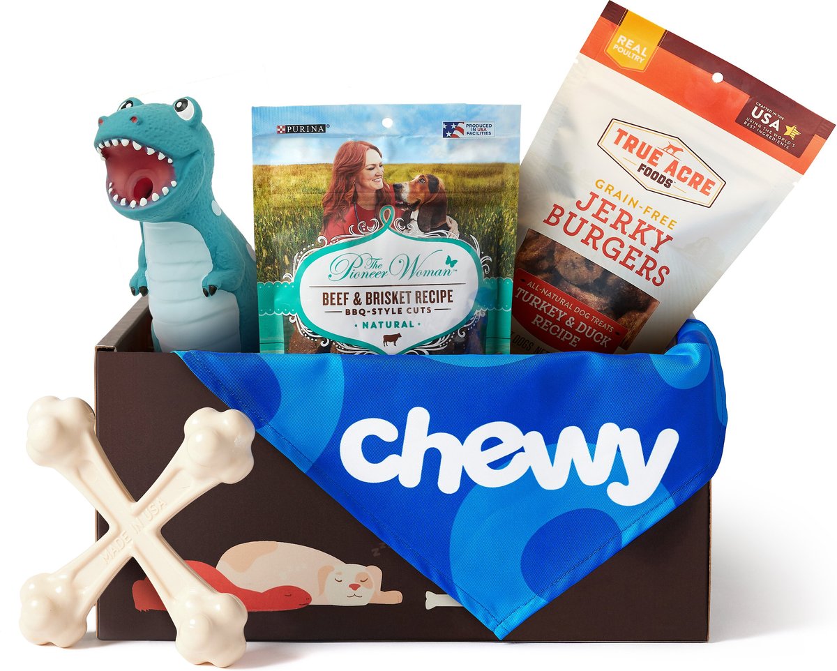 Chewy dog shop toy box