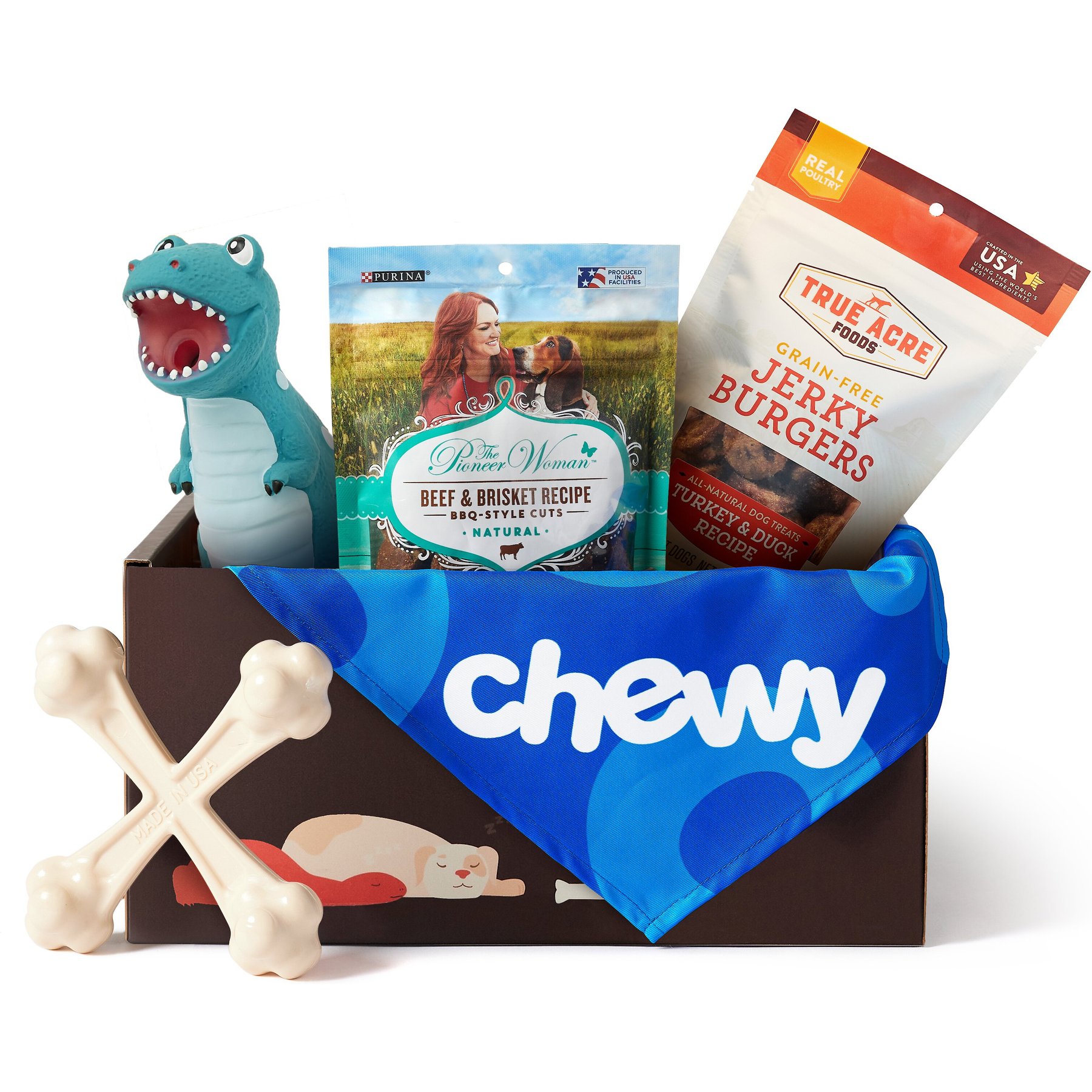 GOODY BOX Summer Dog Toys, Treats & Bandana, Small/Medium 