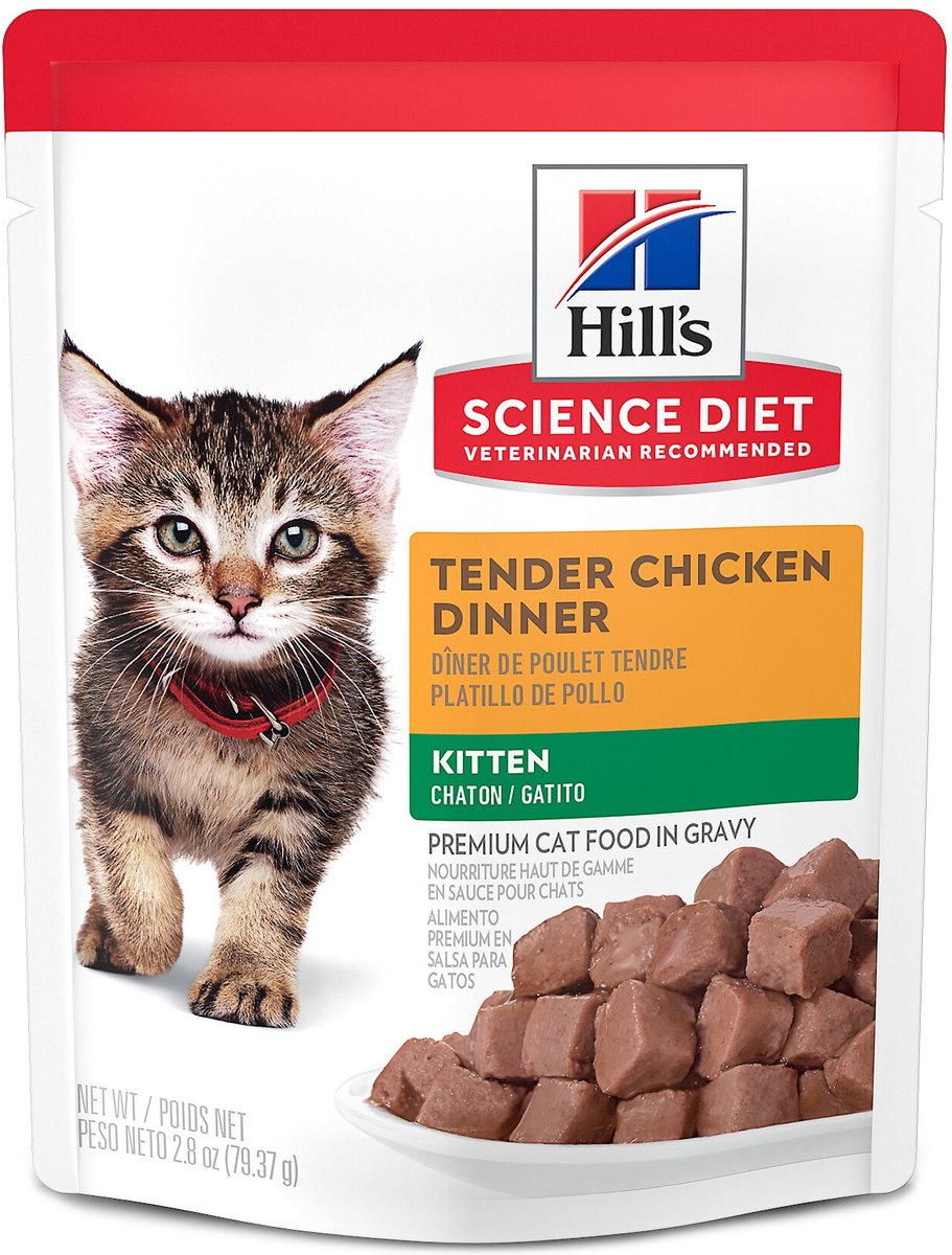 Hills kitten 2025 food wet