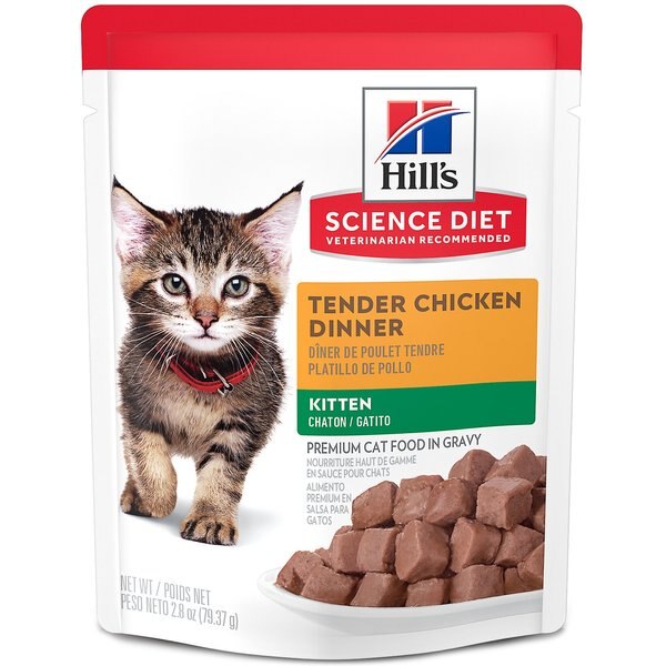 HILL'S SCIENCE DIET Kitten Tender Chicken Dinner Canned Cat Food, 5.5oz, case of 24