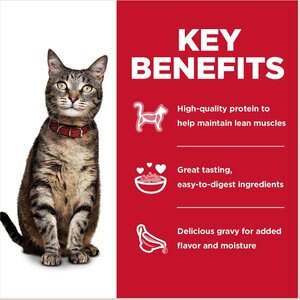Hill's Science Diet Adult Tender Dinner Variety Pack Cat Food, 2.8-oz pouch, case of 12