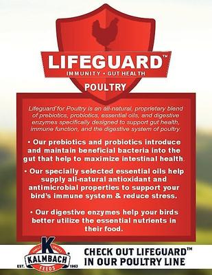 Show full view: Kalmbach Feeds 28% Start Right Medicated Turkey Feed, 50-lb bag slide 4 of 7