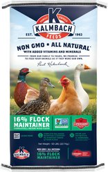 Kalmbach Feeds All Natural Non-GMO 16% Protein Flock Maintainer Poultry Feed, 50-lb bag