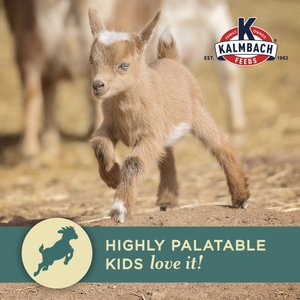 Kalmbach Feeds Start Right Young Goat Feed, 50-lb bag