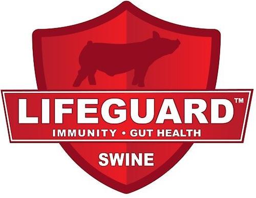 Show full view: Kalmbach Feeds Family Fixin's Sow Pellet Pig Feed, 50-lb bag slide 4 of 6