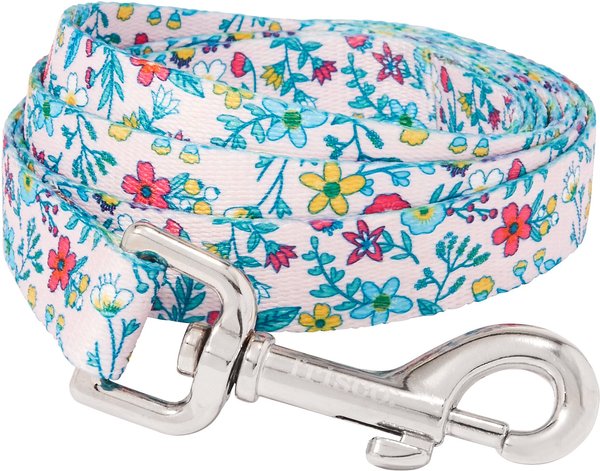 Frisco Spring Floral Polyester Dog Leash, Medium: 6-ft long, 3/4-in wide slide 1 of 2