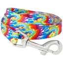 Frisco Tie Dye Swirl Polyester Dog Leash, Small: 6-ft long, 5/8-in wide