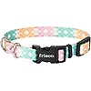Collars & ID Tags