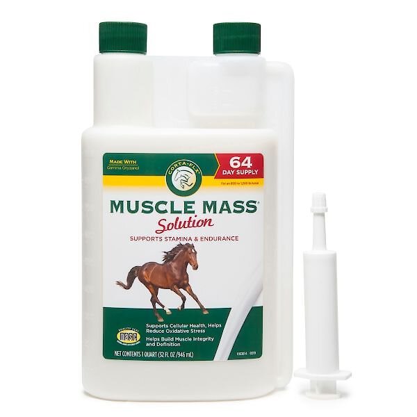 Corta-Flx Muscle Mass Gamma Oryzanol Liquid Horse Supplement, 1-qt bottle