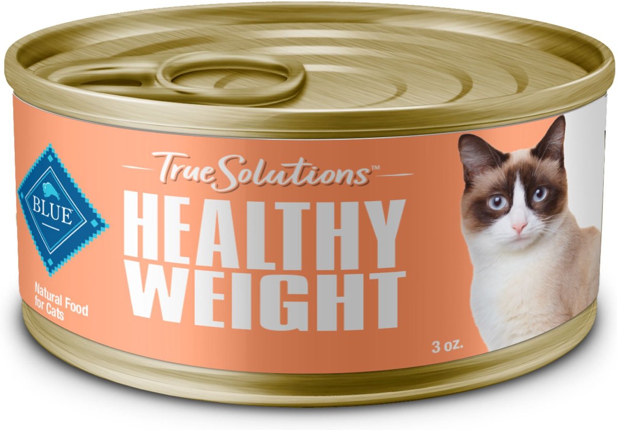 Highest rated sales wet cat food