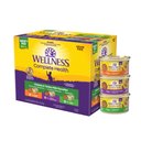 Wellness Complete Health Chicken & Turkey Pate Favorites Canned Cat Food, 3-oz, case of 24