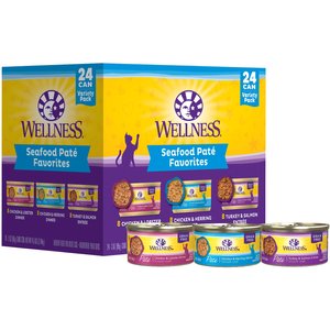 Wellness senior best sale cat food