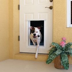 PlexiDor Performance Pet Doors Electronic Automatic Wall Mounted Dog & Cat Door, Large, White slide 2 of 9