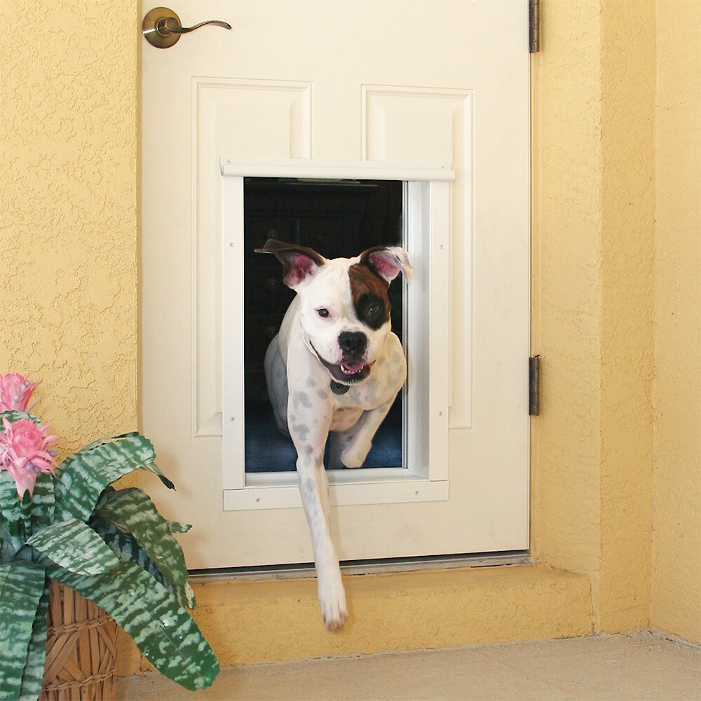 PLEXIDOR PERFORMANCE PET DOORS Electronic Dog & Cat Door Collar Key