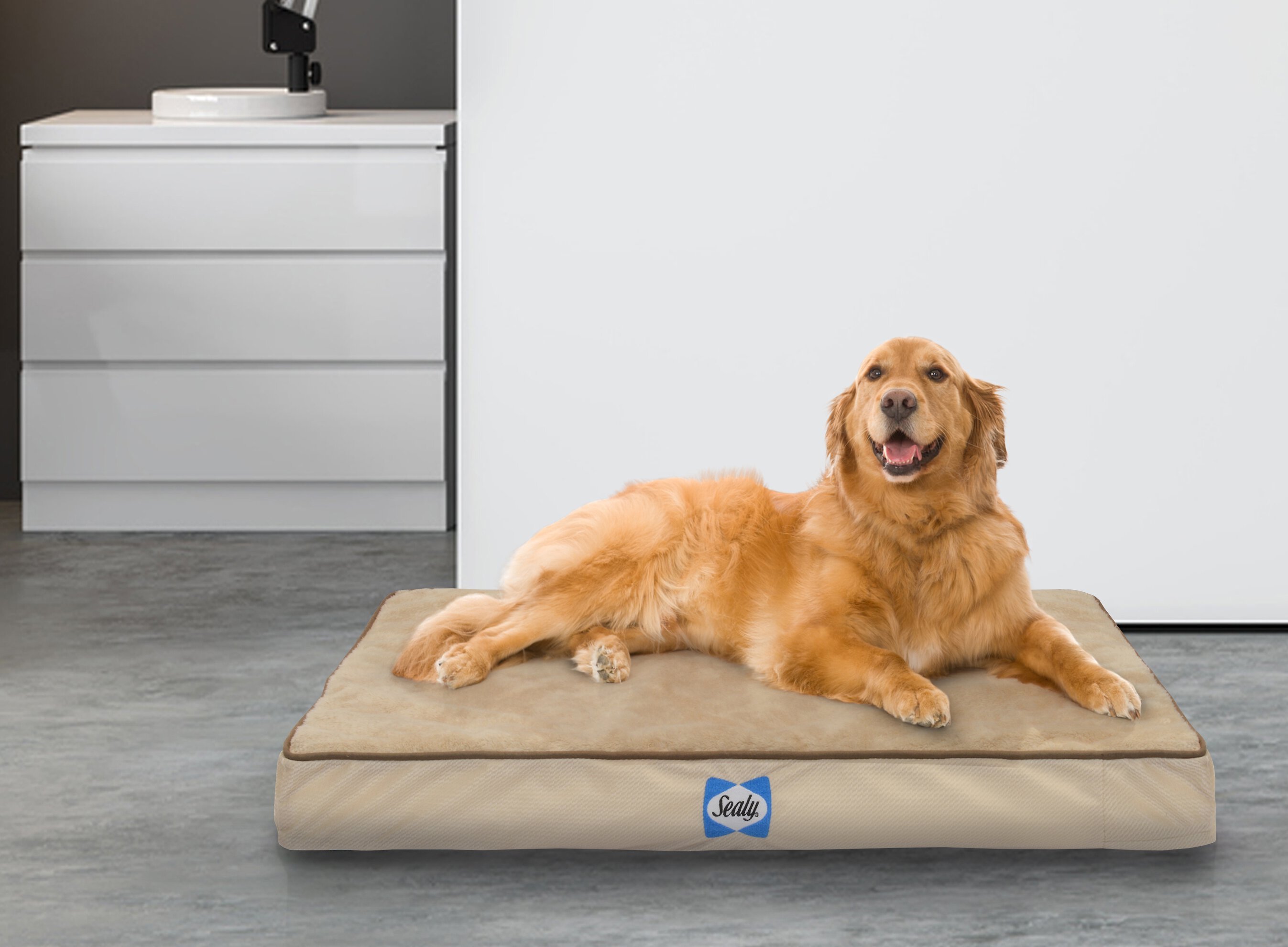 Product Reviews for DALLAS MANUFACTURING Sealy Orthopedic Pillow