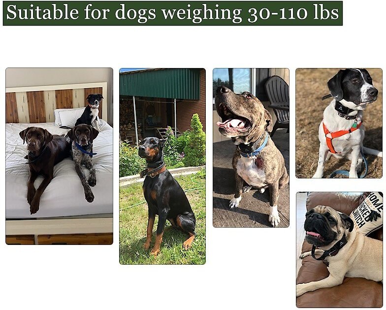 PATPET P640 Outdoor Remote Dog Training Shock Collar, 1000M