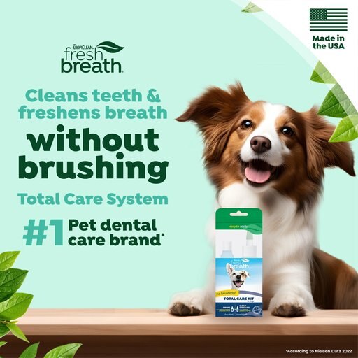 TropiClean Fresh Breath Total Care Dog Dental Kit, 2 count